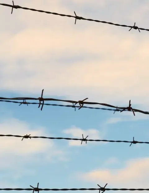 Barbed wire fence