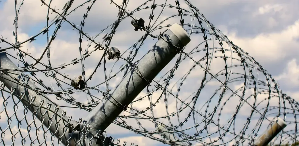 Barbed wire fence